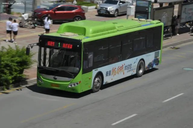 800BUS