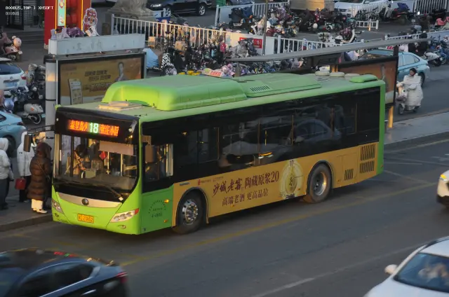 800BUS
