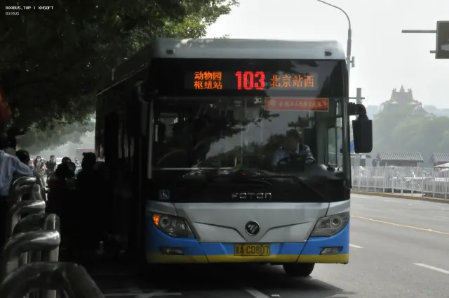800BUS