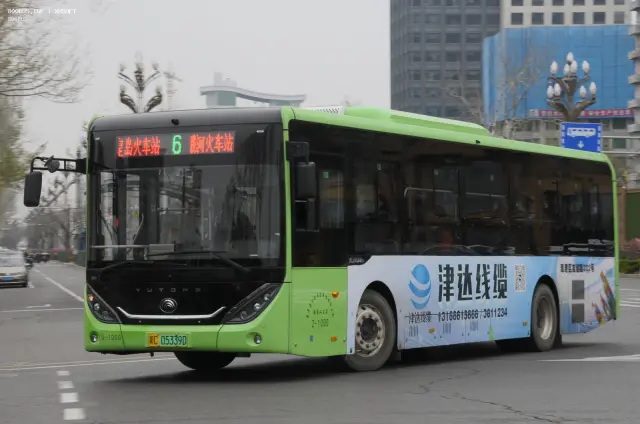 800BUS