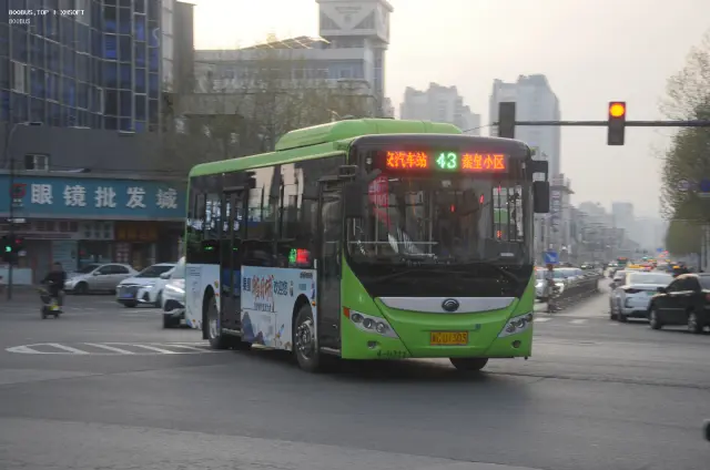 800BUS