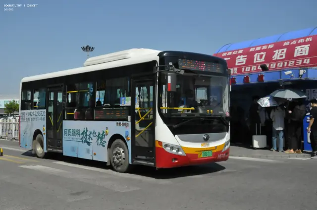 800BUS