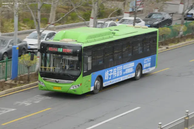 800BUS