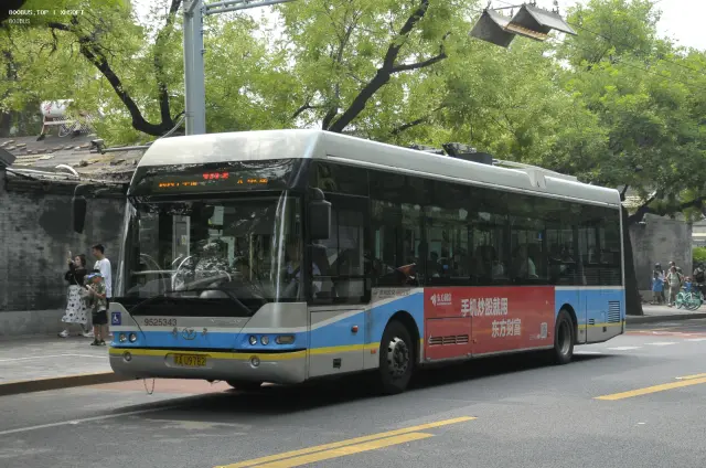 800BUS