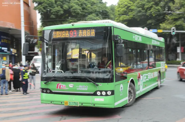 800BUS