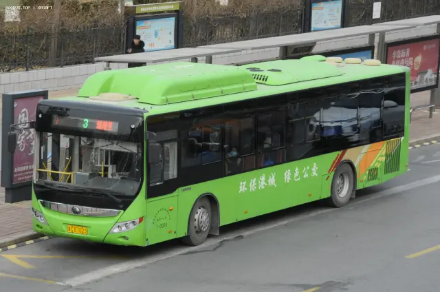 800BUS