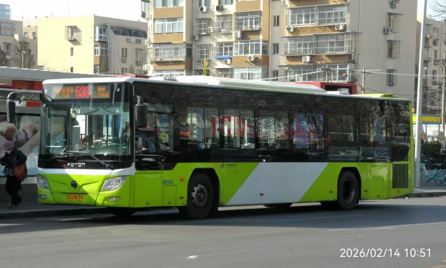 800BUS