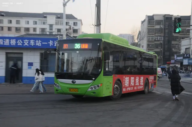 800BUS