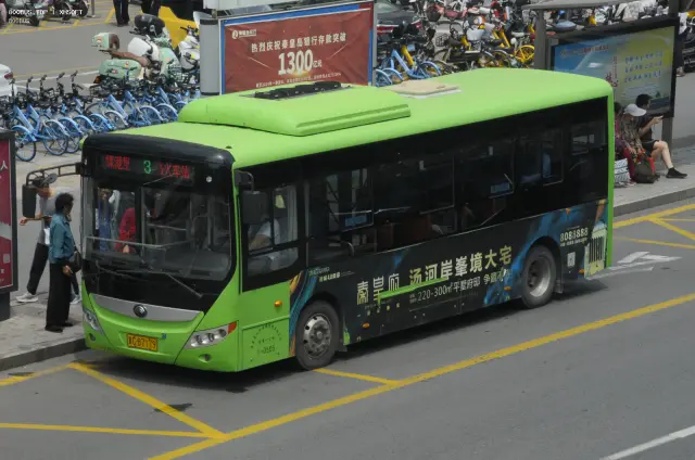800BUS