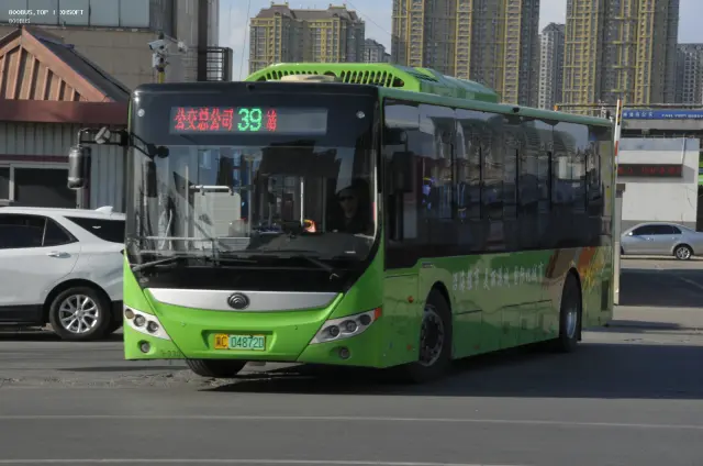 800BUS
