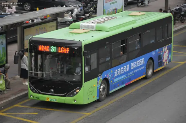 800BUS