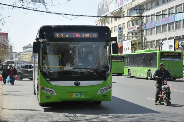 辽P 06695D
