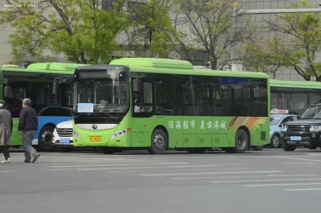 800BUS