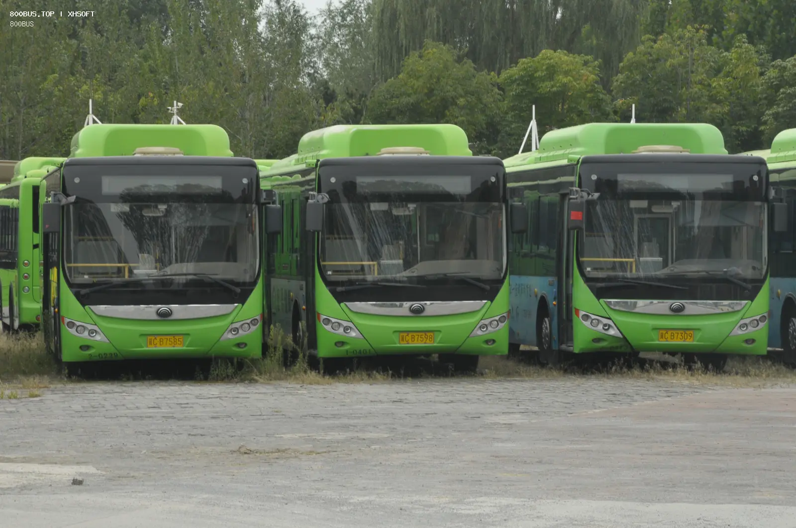 Bus Archive