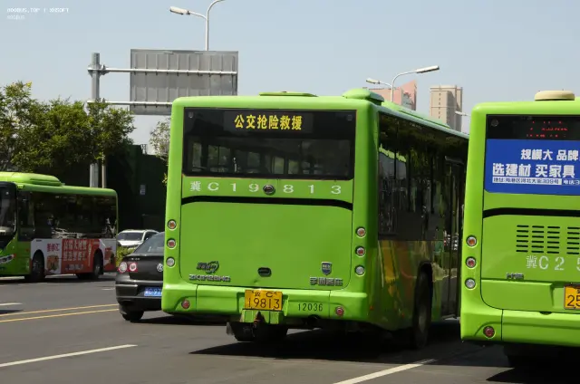 800BUS