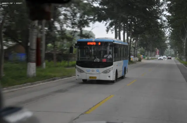 800BUS