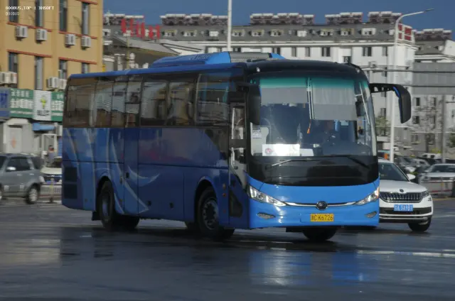800BUS
