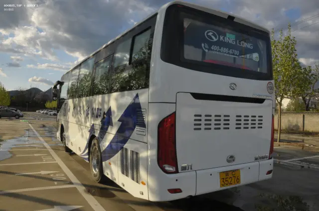 800BUS