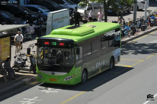 800BUS