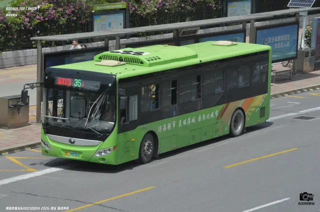 800BUS