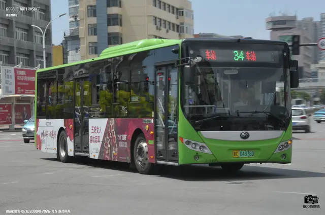 800BUS