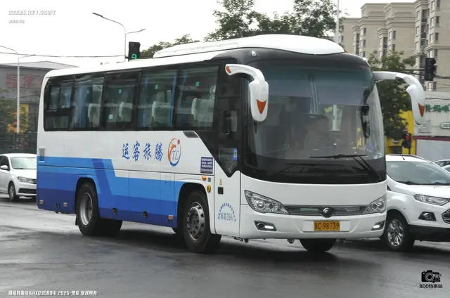 800BUS