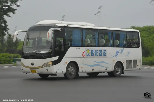 800BUS