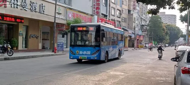 800BUS
