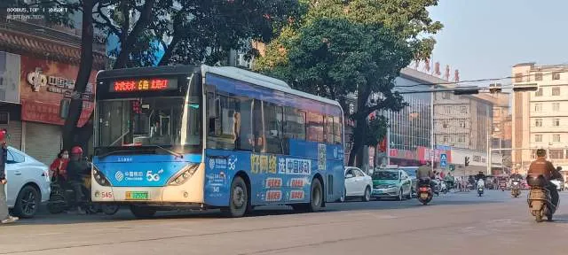 800BUS