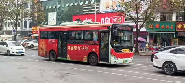 800BUS