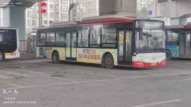 800BUS