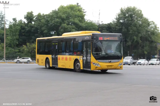 800BUS