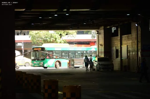 800BUS
