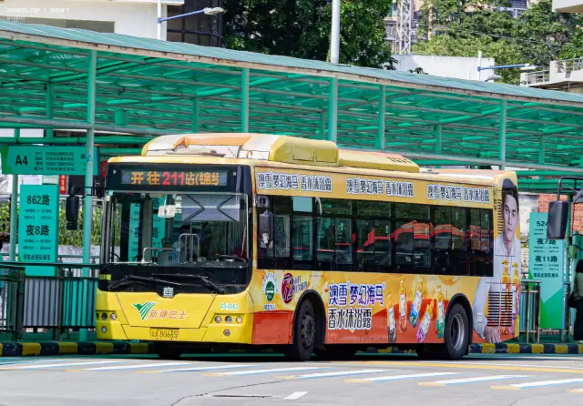 800BUS