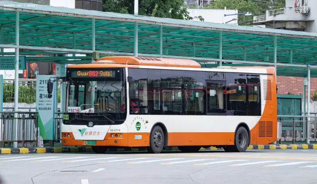 800BUS
