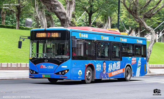 800BUS