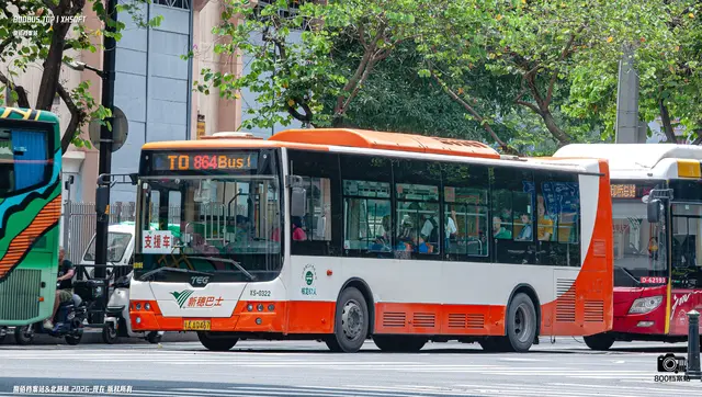 800BUS