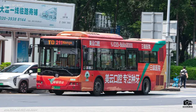 800BUS
