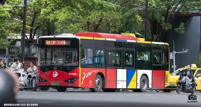 800BUS