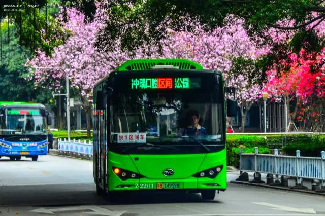 800BUS