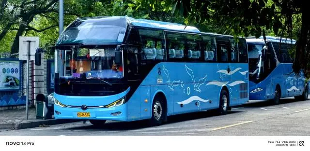 800BUS