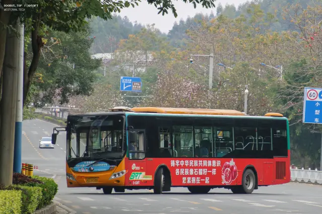 800BUS