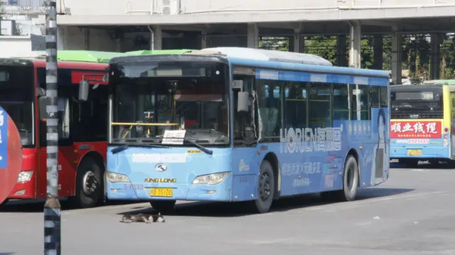 800BUS
