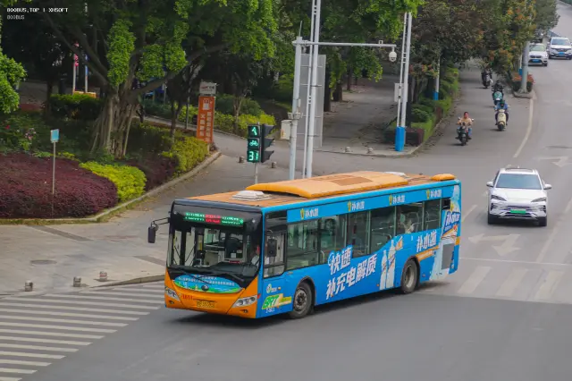 800BUS