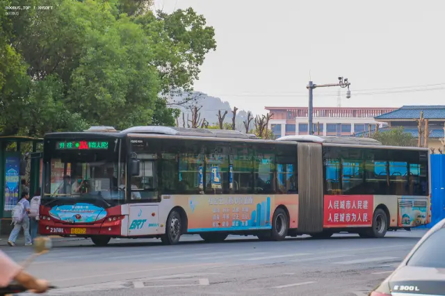 800BUS