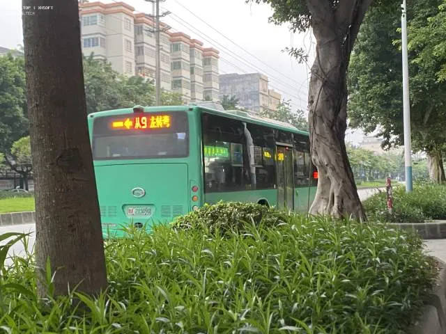 800BUS