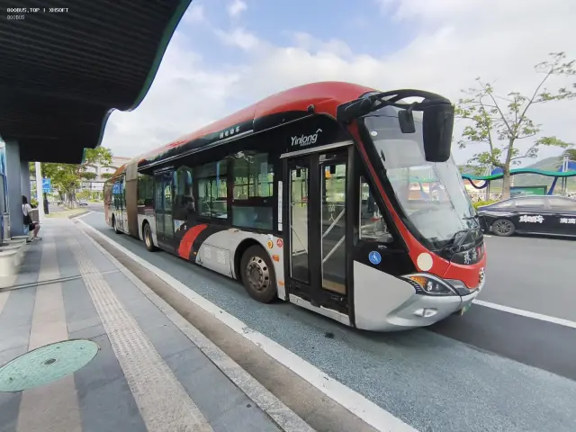 800BUS