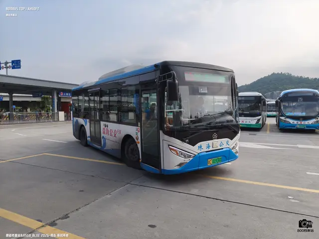 800BUS