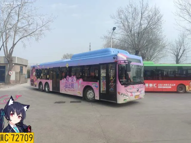 冀C·77303