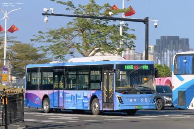 800BUS